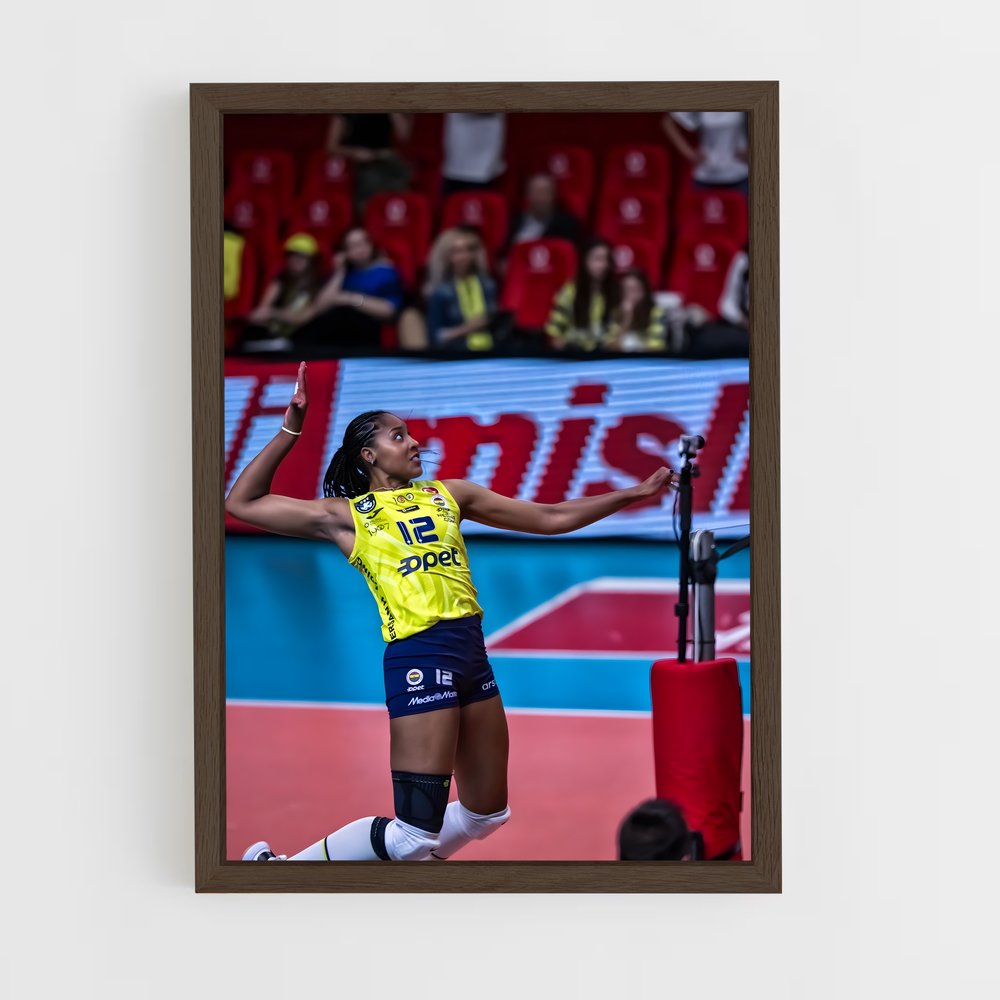 Poster Ana de cristina souza – affiche Volleyball (vue 5)